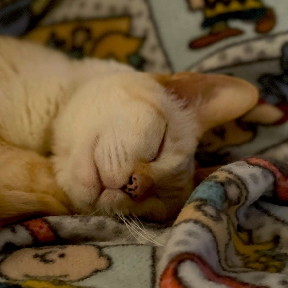 Meet your Posher, Krystyna - Picture 1 of 1